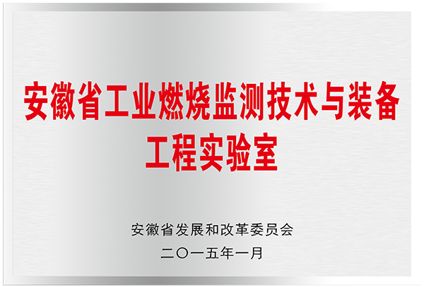 安徽省工業(yè)燃燒監(jiān)測技術與裝備工程實驗室